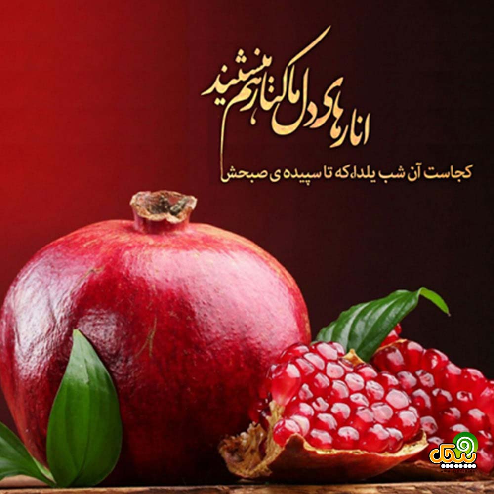 رقص یلدا دنگ شو رقص یلدا دنگ شو