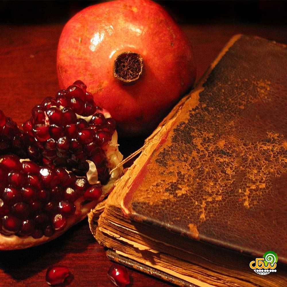 شب یلدا کوروش یغمایی شب یلدا کوروش یغمایی
