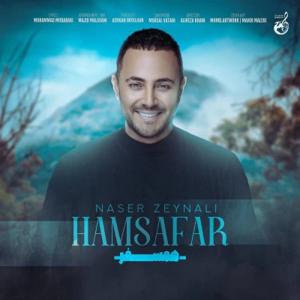 دانلود آهنگ همسفر از ناصر زینعلی