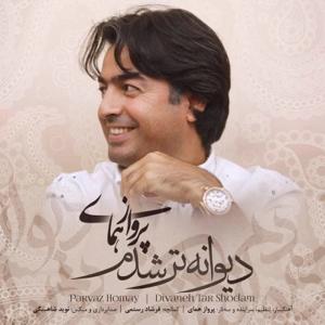 دانلود آهنگ دیوانه تر شدم از پرواز همای