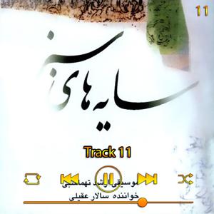 دانلود آهنگ ترک 11 (آلبوم سایه های سبز) 11 از سالار عقیلی